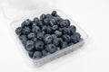 Fresh Blueberries Royalty Free Stock Photo