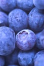 Fresh Blueberries Royalty Free Stock Photo