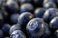 Fresh Blueberries Royalty Free Stock Photo