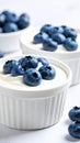 Fresh blueberries atop creamy white dessert in small ramekins on white background Royalty Free Stock Photo