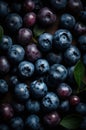 Fresh blueberries background.