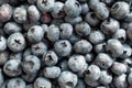 Fresh blueberries background. Berries close up, Texture blueberry.