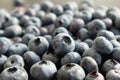 Fresh blueberries background. Berries close up, Texture blueberry.