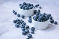 Fresh blueberries background with copy space. Blueberry antioxidant organic superfood in bowls concept for healthy Royalty Free Stock Photo