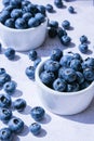 Fresh blueberries background with copy space. Blueberry antioxidant organic superfood in bowls concept for healthy Royalty Free Stock Photo