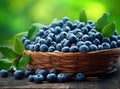 Fresh blueberries background with copy space for your text. Blueberry antioxidant organic superfood in a bowl concept