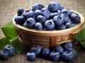 Fresh blueberries background with copy space for your text. Blueberry antioxidant organic superfood in a bowl concept