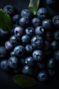 Fresh blueberries background.