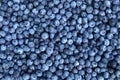 Fresh Blueberries background