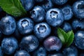 Fresh blueberries background. Vegan and vegetarian concept. Generative AI