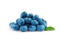 Fresh blueberries with bluberry leaves isolated on white background