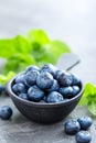 Fresh Blueberries in a bowl on dark background, top view. Juicy wild forest berries, bilberries. Royalty Free Stock Photo