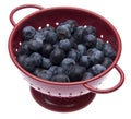 Fresh Blueberries in a Bright Red Colander Royalty Free Stock Photo