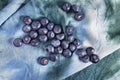 Fresh blueberries on colored cloth