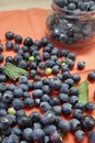 Fresh blueberries for eating. Juicy blue berries are in the glass jug. Heap of them are scattered on the rustic canvas Royalty Free Stock Photo