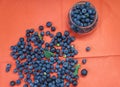 Fresh blueberries for eating. Juicy blue berries are in the glass jug. Heap of them are scattered on the rustic canvas Royalty Free Stock Photo