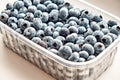 Fresh blueberries from the forest in a plastic container on a white background. Side view Royalty Free Stock Photo