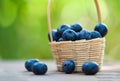 Fresh blueberries fruit in basket on wooden with nature green blur background