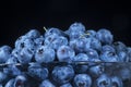Fresh blueberries in in glassware on black background. Close-up of Bog bilberry, bog blueberry, northern bilberry or western
