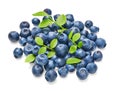 Fresh blueberries with green leaves Royalty Free Stock Photo