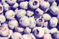 Fresh Blueberries Royalty Free Stock Photo