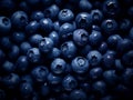 Fresh blueberries harvest with waterdrops. AI Generated Image