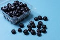 Fresh blueberries inside plastic container on blue background Royalty Free Stock Photo