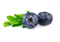 Fresh blueberries with leaf in closeup Royalty Free Stock Photo