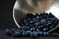 Fresh blueberries in a metal colander Royalty Free Stock Photo