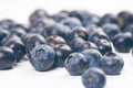 Fresh blueberries with mint on a wooden white table. Natural antioxidant. Concept of healthy food. Organic superfood Royalty Free Stock Photo