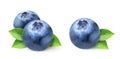 Fresh blueberries Royalty Free Stock Photo