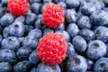 Fresh blueberries and raspberries