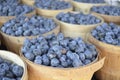 Fresh Blueberries for sale