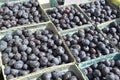 Fresh Blueberries for sale Royalty Free Stock Photo