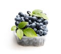 Fresh blueberries in small plastic container isolated on white Royalty Free Stock Photo