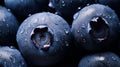 Fresh blueberries with water drops close up. Blueberry background