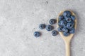 Fresh blueberries in wooden spoon on gray concrete background with copy space Royalty Free Stock Photo