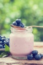 Fresh blueberries yogurt in glass jar. Royalty Free Stock Photo