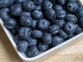 Fresh Blueberry antioxidant organic superfood