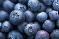 Fresh blueberry background Royalty Free Stock Photo