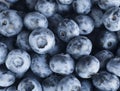 Fresh Blueberry Background. Texture blueberry berries close up. Sprinkle blueberries. Top view. Fresh blueberries scattered.