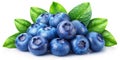Fresh Blueberry Bunch - 3D Render - Isolated on White - Realistic Composition Royalty Free Stock Photo