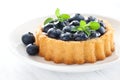 Fresh blueberry cake Royalty Free Stock Photo