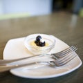 Fresh blueberry cheese on white plate with fork. Royalty Free Stock Photo