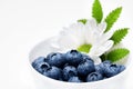 Fresh blueberry closeup with dew drops background.