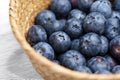 Fresh blueberry. Delicious organic blue bilberry. Natural antioxidants source