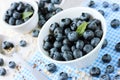 Fresh blueberry, great bilberry or bog whortleberry