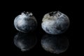Fresh blueberry isolated on black glass Royalty Free Stock Photo