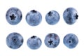 Fresh blueberry isolated on white background. Bilberry or whortleberry berries. Collection. Clipping path. Royalty Free Stock Photo