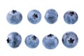 Fresh blueberry isolated on white background. Bilberry or whortleberry berries. Collection. Clipping path. Royalty Free Stock Photo